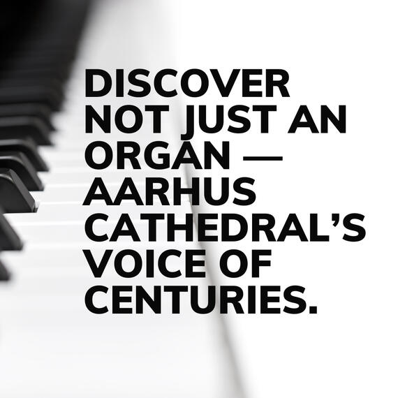 Aarhus cathedral tour